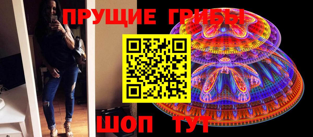 Псилоцибиновые грибы Psilocybe Кушва